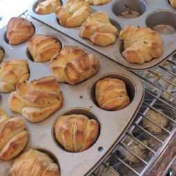 Tray of Rolls